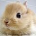 Profile Picture of Bunny Sinclair (@bunny.sinclair.92) on Facebook