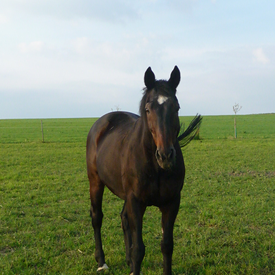 Profile Picture of Tom Grunewald (@GrunewaldTom) on Twitter