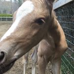 Caroline - Instagram Profile Picture of Caroline (@caroline.r.curran) on Instagram