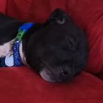 Profile Picture of Benjamin coulter (@benjamin_coulter) on Instagram