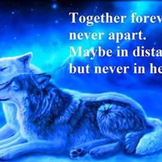 Profile Picture of Max Stump (@max.stump.562) on Facebook