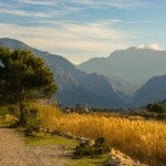 Profile Picture of Halonna (@halonnaaronia03) on Instagram