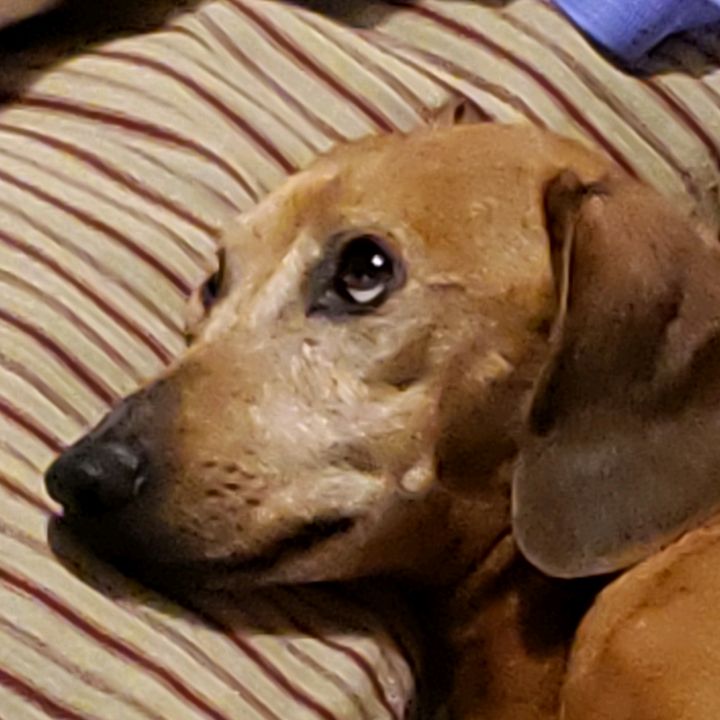 Profile Picture of Pablo Manzolini (@pablomanzolini) on Tiktok