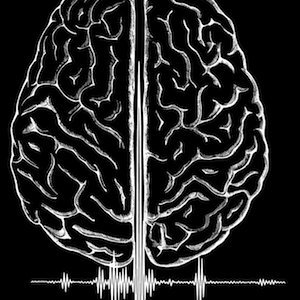 Profile Picture of Deanna H. Choi (@splitbrainsound) on Twitter