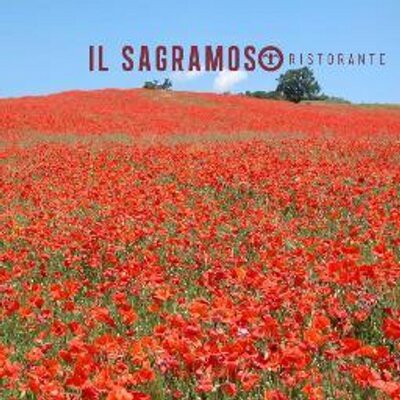 Profile Picture of Il Sagramoso (@IlSagramoso) on Twitter