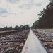 Profile Picture of Alex Mulvaney (@alexm0470) on Pinterest