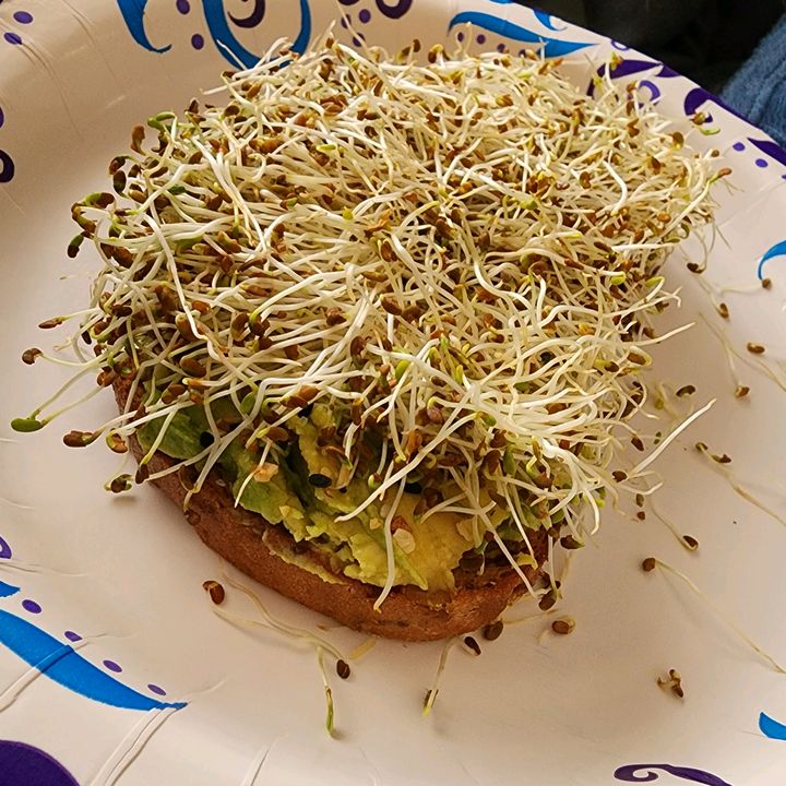 Profile Picture of autumnness (@journeytoautumnness) on Tiktok