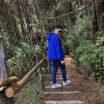 Profile Picture of Adrian Phillips (@adrian.phillips16) on Instagram