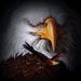 Profile Picture of Dwayne Charboneau (@greasygrass) on Pinterest