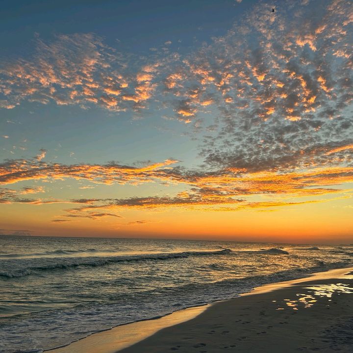 Profile Picture of Aaron Koons (@@aaronkoons) on Tiktok