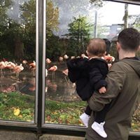 Declan Bennett - Quora Profile Picture of Declan Bennett (@declan-bennett-3) on Quora