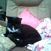 Profile Picture of Lucia Morgan (@luciamorgan5949) on Youtube