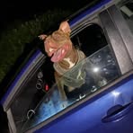 Profile Picture of Michael Evans (@Michael-Evans) on Facebook