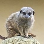 Profile Picture of Kerstin Jockenhöfer (@jockenhoeferk) on Instagram