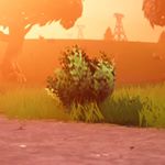 Profile Picture of Richard Mackintosh (@bush_camper69) on Instagram