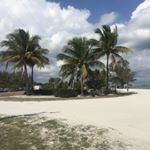 olivia naylor - Instagram Profile Picture of olivia naylor (@olivia.naylor00) on Instagram