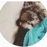 Profile Picture of Makynli Aaron Rudd (@makynliaaron2009) on Instagram