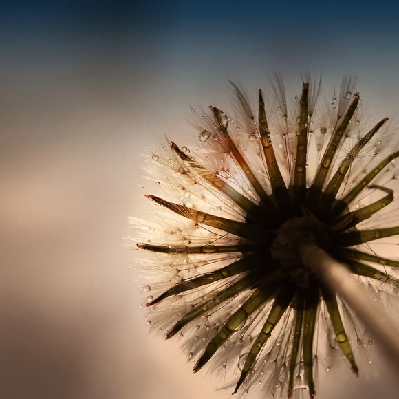 Profile Picture of Kyra Benzinger (@kyrabenzinger) on Poshmark