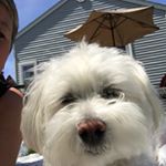 Profile Picture of Joanne-David Smith (@joanne_monty18) on Instagram