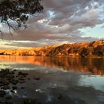 Profile Picture of Robyn Field (@robyn.field) on Instagram