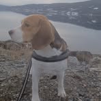 Profile Picture of Daniel Antonsen (@Daniel-Antonsen) on Facebook