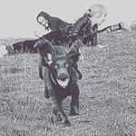 Profile Picture of ian Galbraith (@gabbybfd) on Instagram