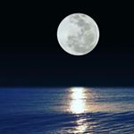 Profile Picture of alejandro (@terranovademexicogoo) on Instagram