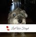 Profile Picture of Janice Reale (@Janice-Reale) on Facebook