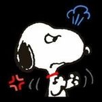 Profile Picture of Jason Placido (@jplacido31) on Instagram