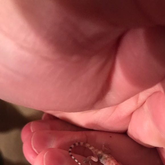 Profile Picture of Richard Loyed (@rloyed86) on Poshmark