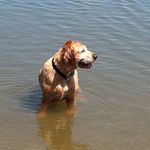 Profile Picture of Anne Agnew (@annabelle044psu) on Instagram