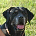 Profile Picture of Janet Machin Calero (@crivili5) on Instagram