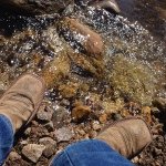 Profile Picture of Michael (@michael.pirrone) on Instagram