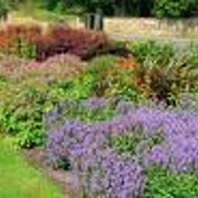 Profile Picture of David Straube (@ReliableLawn) on Twitter