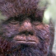 Profile Picture of .REETZ.FAMILY. (@ReetzDavidAllen) on Twitter