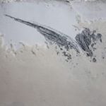 Profile Picture of Helene Le Chatelier (@helenelechatelier) on Instagram