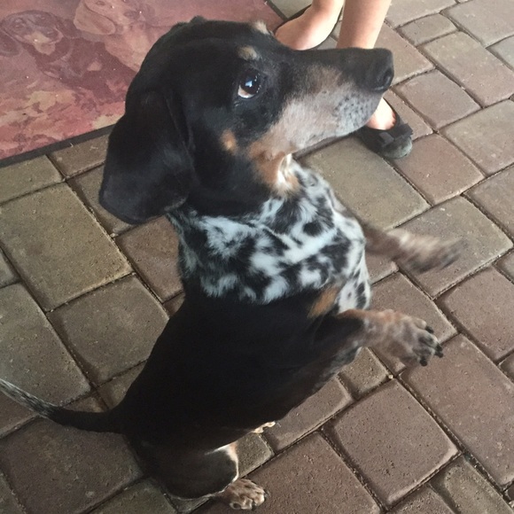 Profile Picture of Leila Wiberg (@exstrawdinary) on Poshmark