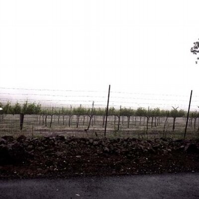 Profile Picture of Danielle Warnock (@DanielleWTH) on Twitter