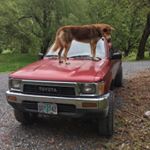 Profile Picture of jared smith (@hike_slow) on Instagram