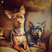 Profile Picture of Taryn Sharp (@tarynsharp9698) on Youtube