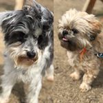 Profile Picture of Walter & Eleanor (@walter_and_ellie) on Instagram
