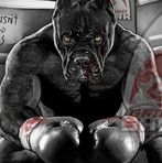 Profile Picture of Eric Stan (@eric.stan.182) on Facebook