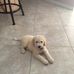 Profile Picture of Patricia Comeau (@patricia.comeau.79) on Facebook