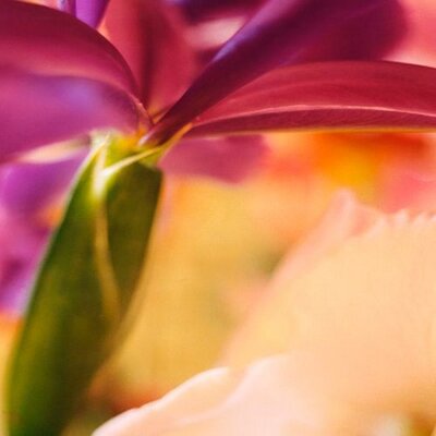 Profile Picture of Curt McCoin (@cmccoin17) on Twitter