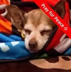 Profile Picture of Kerri Olinger (@Kerri-Olinger) on Facebook