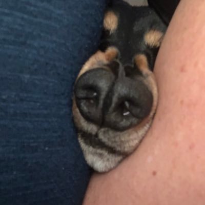 Profile Picture of Wendi Wade (@WendiWa06120904) on Twitter