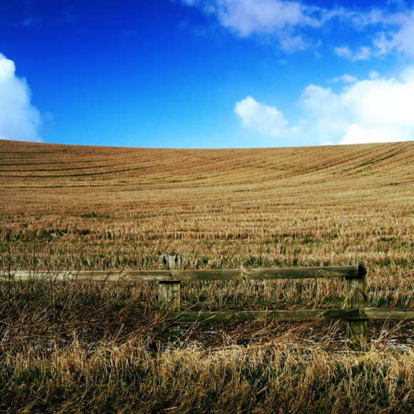 Profile Picture of Rachel Ciummo (@rachelciummo) on Poshmark