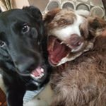 Profile Picture of Terrence OBrien (@terrence.obrien.5076) on Instagram