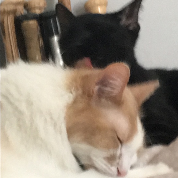 Lucas Moskiewicz - Poshmark Profile Picture of Lucas Moskiewicz (@lmoskiewicz) on Poshmark