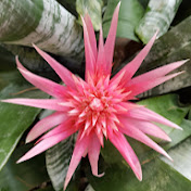 Profile Picture of Joe Magnay (@TheIncredibleLazyJoe) on Youtube